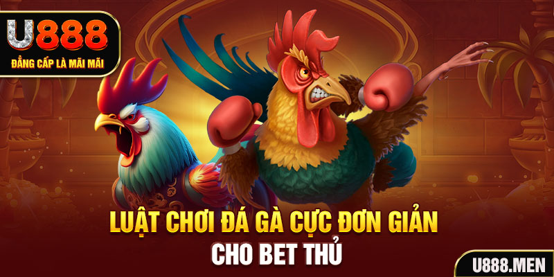 Luật chơi đá gà cực đơn giản cho bet thủ