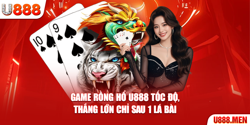 Rồng hổ U888